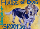 House of Dog